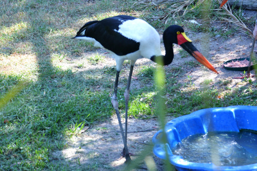 World of Birds Wildlife Sanctuary.